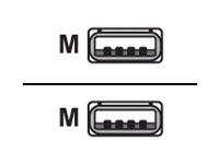 imageHighRes1