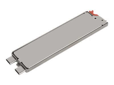 GETAC SSD - 256 GB - mit Kanister - intern - PCIe (NVMe)