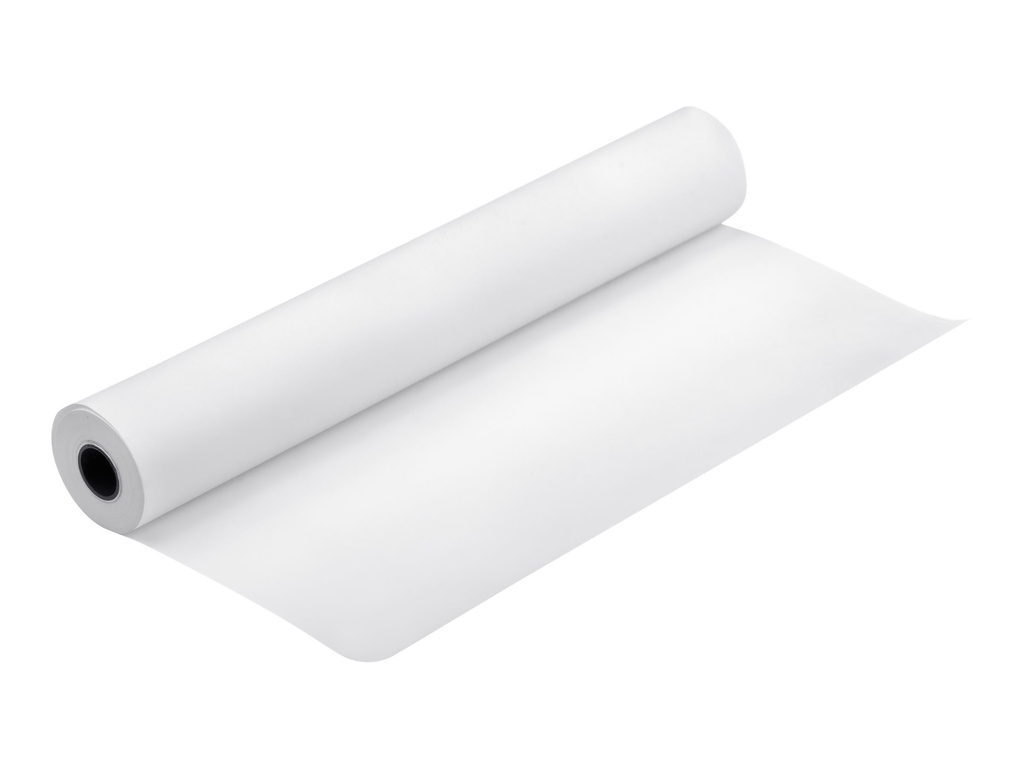 Epson Production Canvas Matte - Matt - Rolle A1 (61,0 cm x 12,2 m)