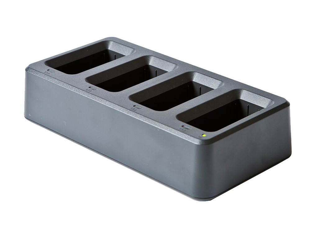 Brother PA-4BC-4000EU - Batterieladegerät - Ausgangsanschlüsse: