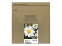 Epson T1806 Easy Mail Packaging - 4er-Pack