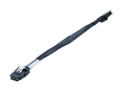 Synology Internes SAS-Kabel - 27.8 cm - eingerastet