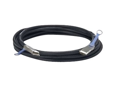 Dell Customer Kit - 100GBase Direktanschlusskabel