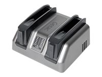 GETAC Dual bay - Batterieladegerät - Ausgangsanschlüsse: