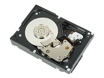 Dell  Festplatte - 1 TB - intern - 3.5" (8.9 cm)