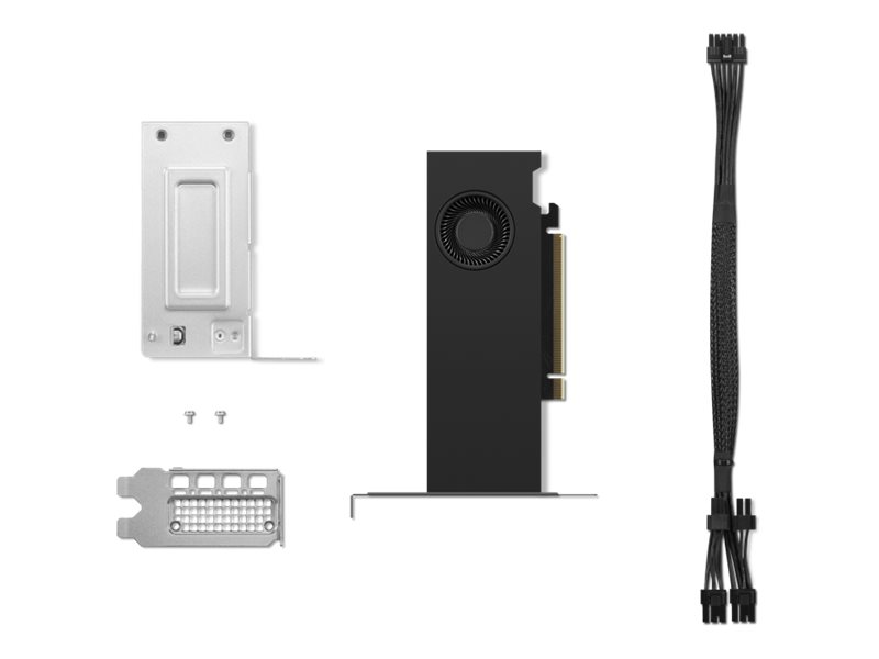 Lenovo NVIDIA RTX - Grafikkarte - NVIDIA RTX 2000 Ada