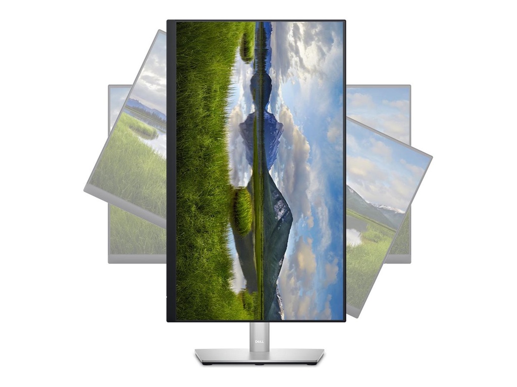 Dell P2423D - LED-Monitor - 61 cm (24") - 2560