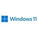 Microsoft FQC-10531 - Betriebssystem - Windows 11 Professional Finnisch DVD Nur Lizenz