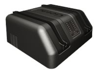 GETAC Dual bay - Batterieladegerät - Ausgangsanschlüsse: