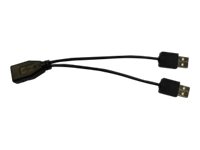 Star Micronics Star iOS High Powered Y Cable - USB- / Stromkabel - USB (M)