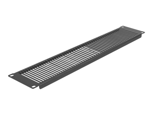 Delock Rackpaneel - Schwarz - 2U - 48.3 cm (19")