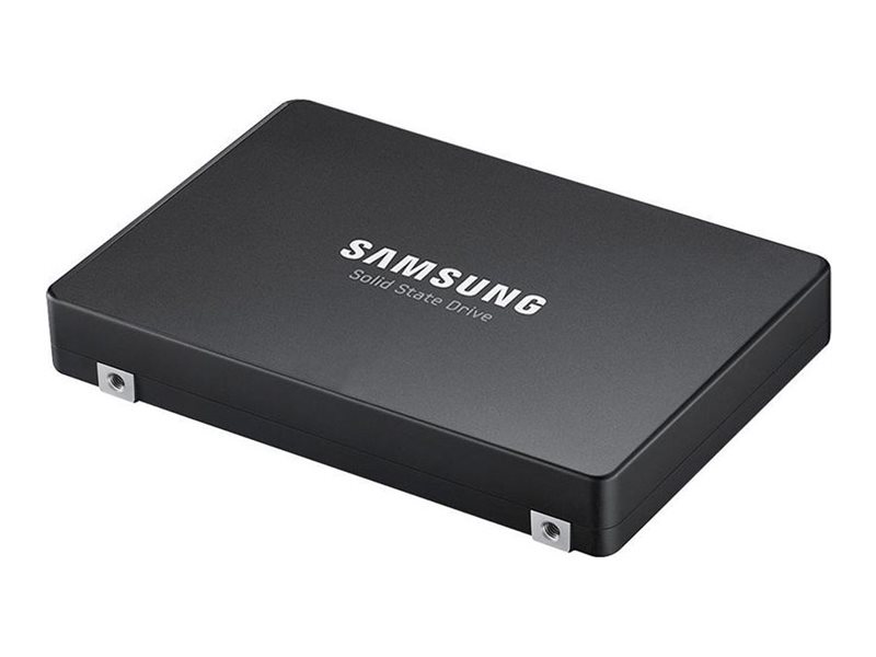 Lenovo ThinkSystem PM1743 - SSD - Read Intensive - verschlüsselt - 3.84 TB - Hot-Swap - 2.5" (6.4 cm)