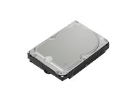 Lenovo Festplatte - 4 TB - intern - 3.5" (8.9 cm)