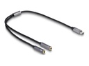 Delock Adapter USB-C auf Klinkenstecker - 24