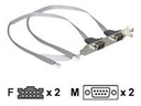 Delock Serielles Bedienfeld - DB-9 (M) zu 10 PIN IDC (W)