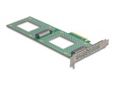 Delock Speicher-Controller - Gabelung, 236