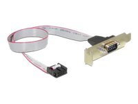Delock Slot Bracket > 1 x Serial - Serielles Bedienfeld - DB-9 (M)