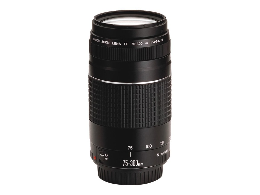 Canon EF - Telezoomobjektiv - 75 mm - 300 mm