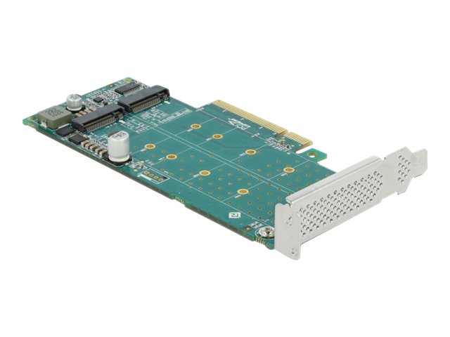 Delock PCI Express x8 Card to 2 x internal NVMe