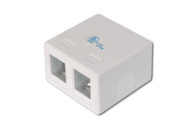 DIGITUS Konsolidierungs-Punkt Gehäuse für 2x Keystone Module