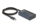 Delock Hub - 10 Gbps, davon 3 x Datenport +
