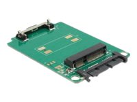 Delock Converter Micro SATA 16 Pin > mSATA full