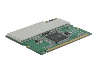 Delock WLAN MiniPCI - Netzwerkadapter - Mini