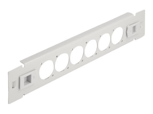Delock Patchpanel (Blindblech) - D-Typ - Rack montierbar - Grau - 1U - 25.4 cm (10")