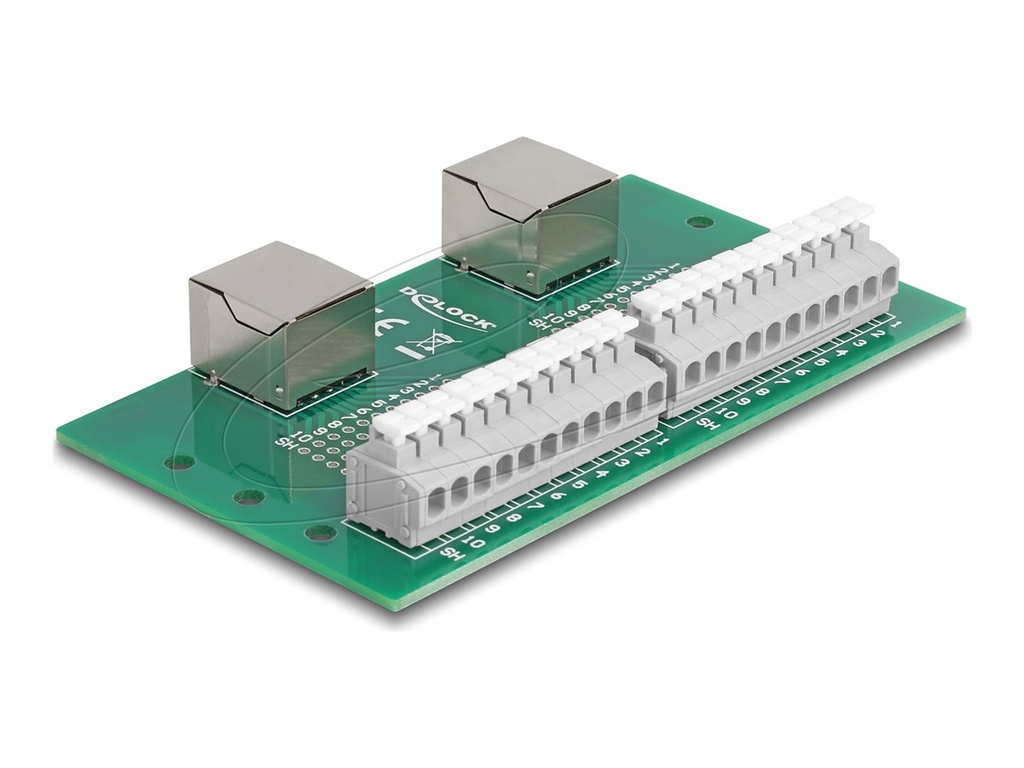 Delock Netzwerkadapter - RJ-50 (W) zu 11-polige Klemmleiste