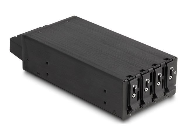Delock Mobiles Speicher-Rack - Schwarz
