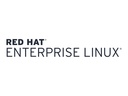 HPE Red Hat Enterprise Linux - Premium-Abonnement (1 Jahr)