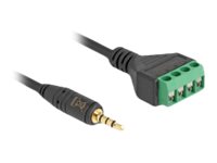 Delock Audio-Adapter - Mini-Stecker männlich