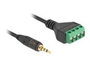 Delock Audio-Adapter - Mini-Stecker männlich