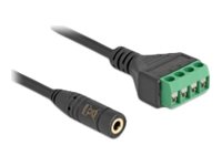 Delock Audio-Adapter - Mini-Stecker (W) zu