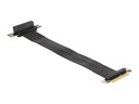 Delock Riser Card