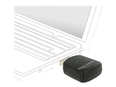 Delock Wireless LAN USB Mini Stick - Netzwerkadapter