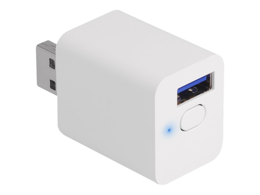 Delock Smart-Schalter - WLAN, EASY-USB, MQTT