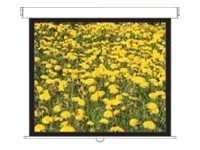 Optoma Panoview Pull Down Manual DS-3120PMG+ - Leinwand - Deckenmontage möglich, geeignet für Wandmontage - 305 cm (120")