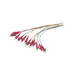 Synergy 21 LWL-Pigtail-LC 50/125u 2mtr. OM4 12-Pack farbig - Kabel - 2 m (S215478V2)