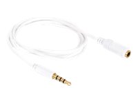 Delock Audiokabel - mini-phone stereo 3.5 mm