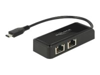 Delock Adapter USB-C 3.1 Gen 1 > 2 x Gigabit