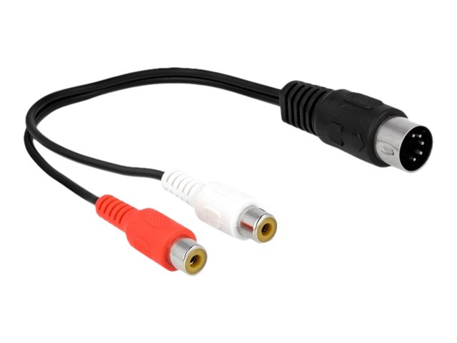 Delock Audiokabel - DIN 5-polig männlich zu