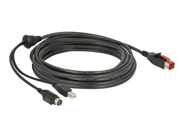 Delock Powered USB-Kabel - USB PlusPower (24 V)