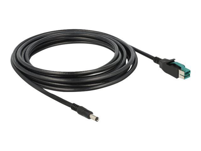 Delock Powered USB-Kabel - USB PlusPower (12 V)