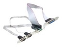 Delock MiniPCIe I/O PCIe full size 2 x serial