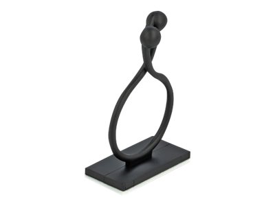 Delock Kabelklammer - Schwarz (Packung mit