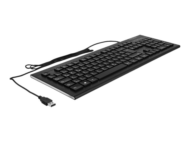Delock Tastatur - USB - QWERTZ - Deutsch