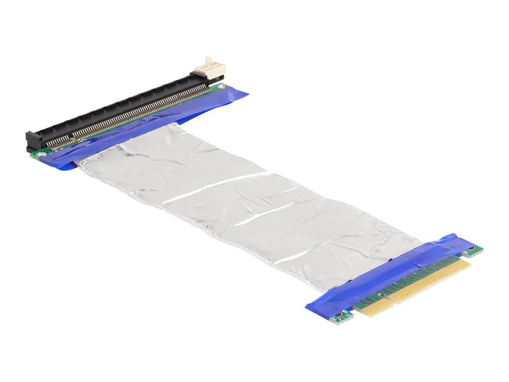 Delock Riser Card