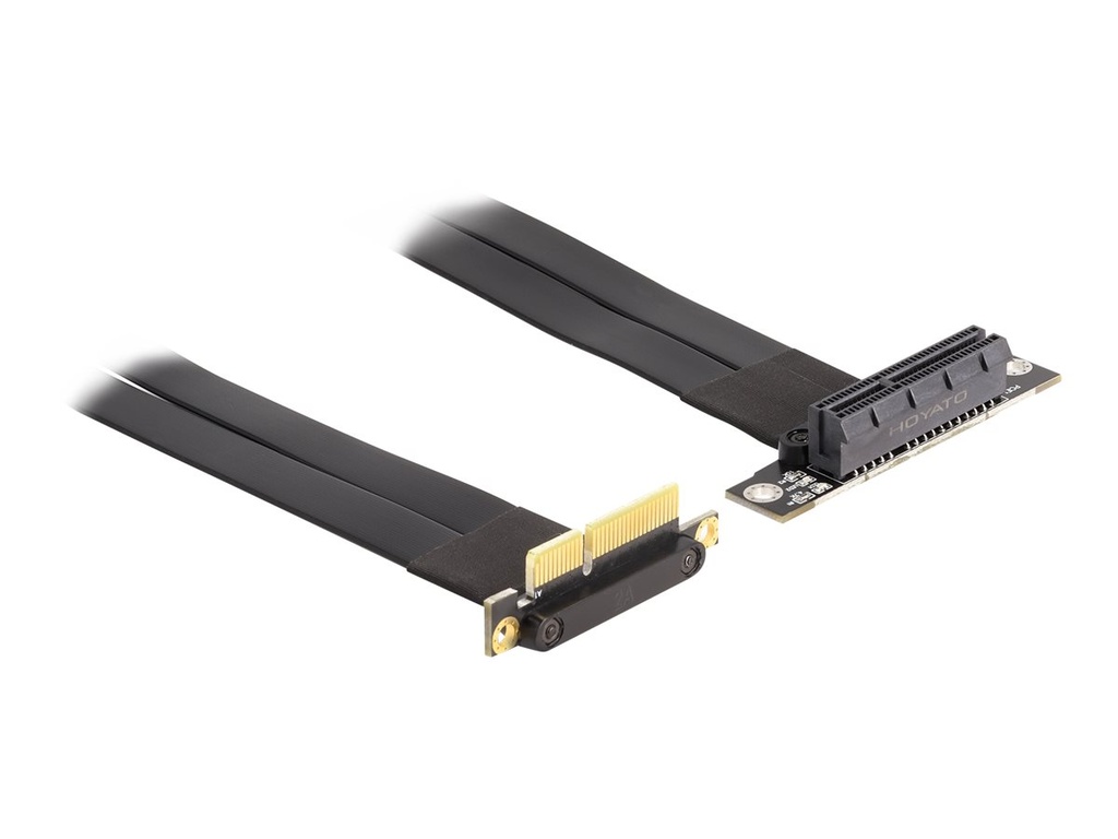 Delock Riser Card