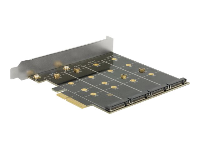 Delock Speichercontroller (RAID) - 4 Sender/Kanal